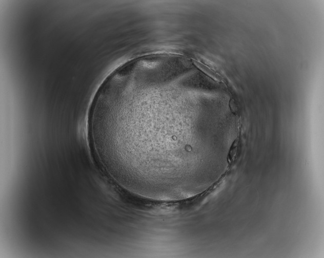 X0000094210148200711091244