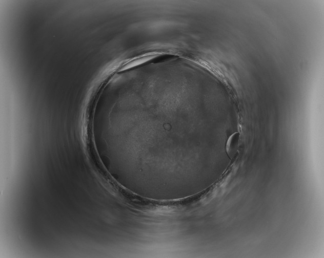 X0000094210149200711091244