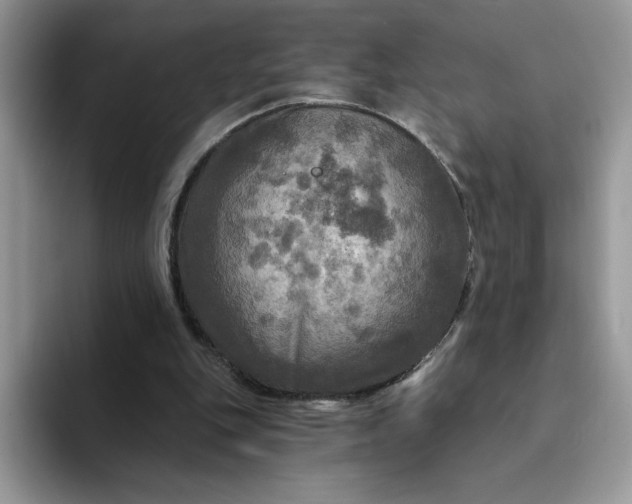 X0000094210151200711091244