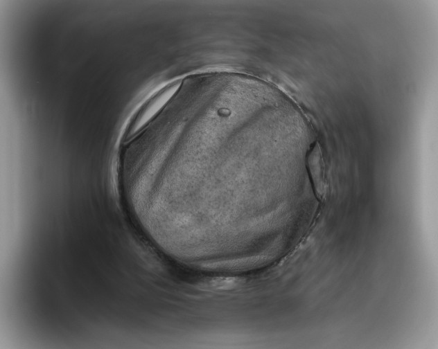 X0000094210152200711091244