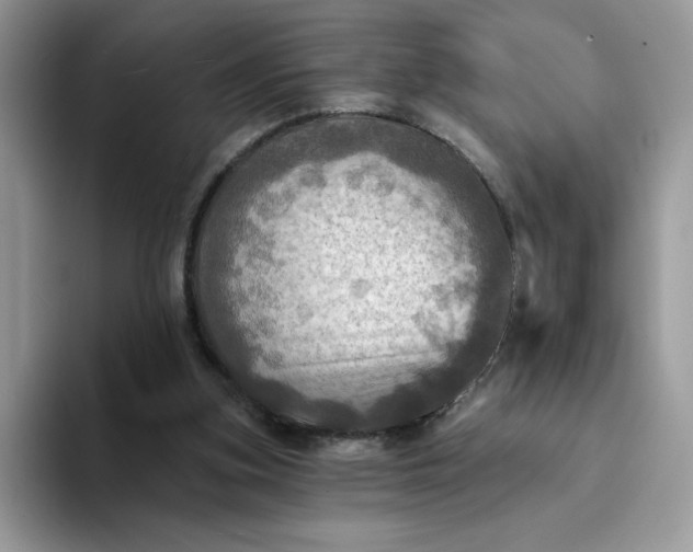 X0000094210155200711091244