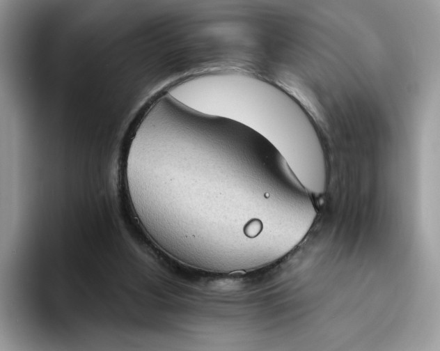 X0000094210156200711091244