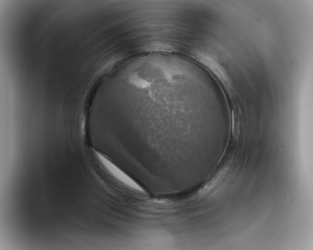 X0000094210157200711091244