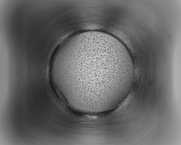 X0000094210159200711091244