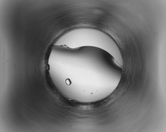 X0000094210160200711091244