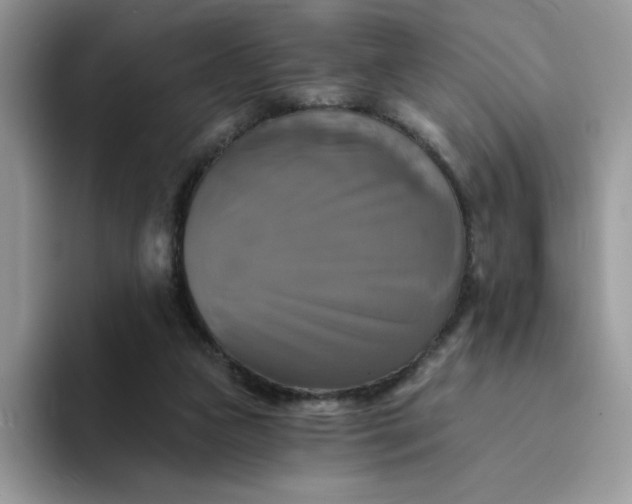 X0000094210161200711091244