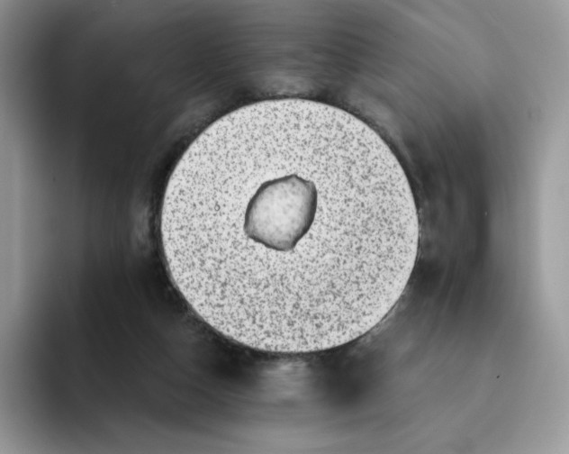 X0000094210162200711091244