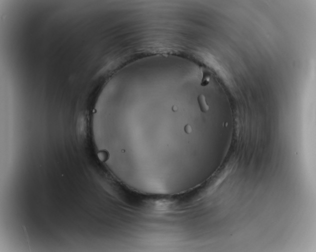 X0000094210165200711091244