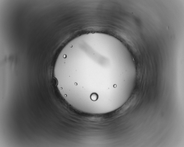 X0000094210168200711091244