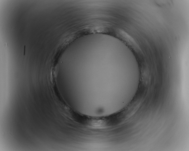 X0000094210169200711091244
