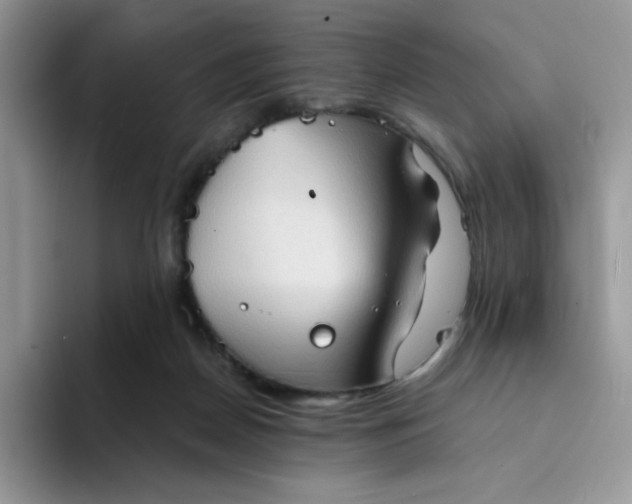 X0000094210170200711091244