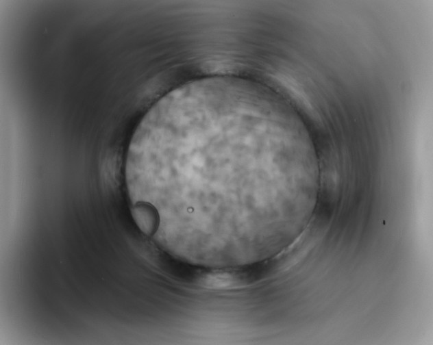 X0000094210171200711091244