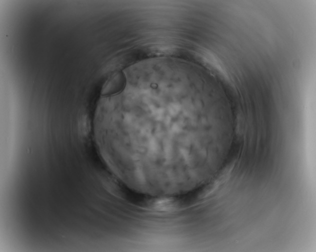 X0000094210173200711091244