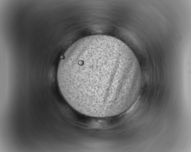 X0000094210174200711091244