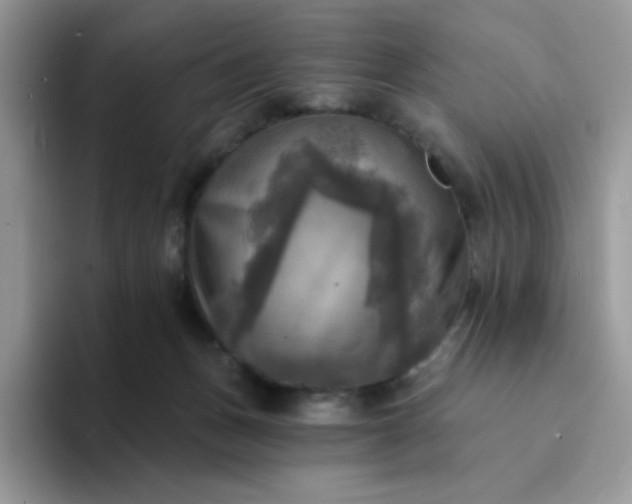 X0000094210175200711091244