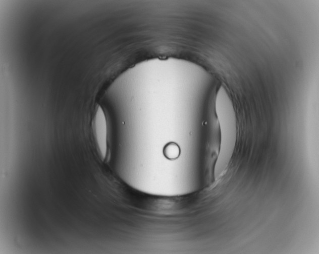 X0000094210176200711091244