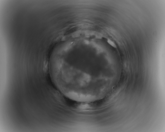 X0000094210177200711091244