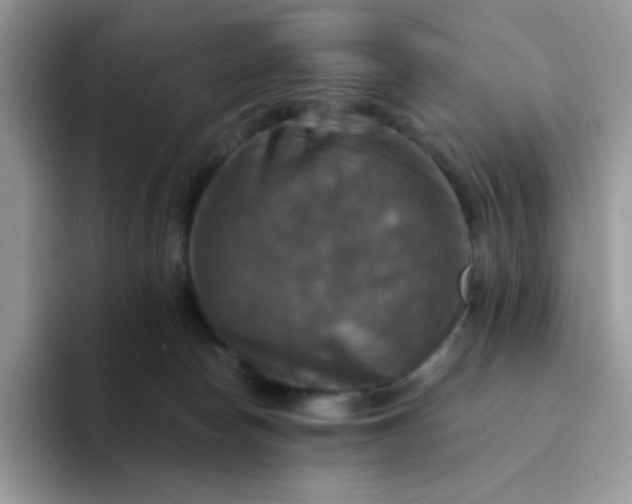 X0000094210178200711091244