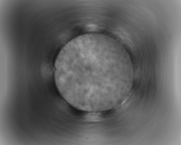 X0000094210179200711091244