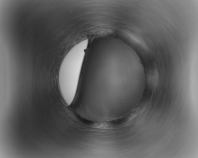 X0000094210181200711091244