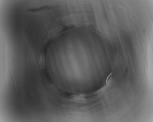 X0000094210182200711091244