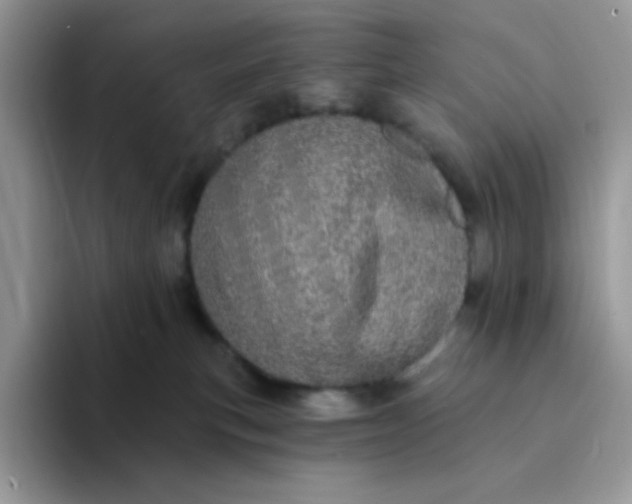 X0000094210183200711091244