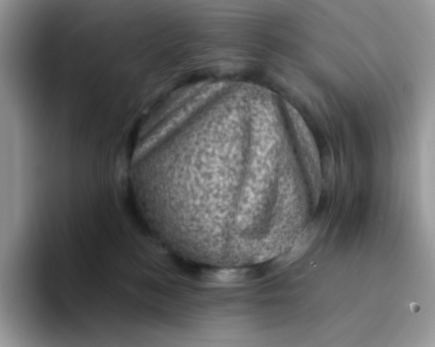 X0000094210184200711091244