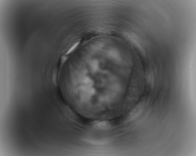 X0000094210185200711091244