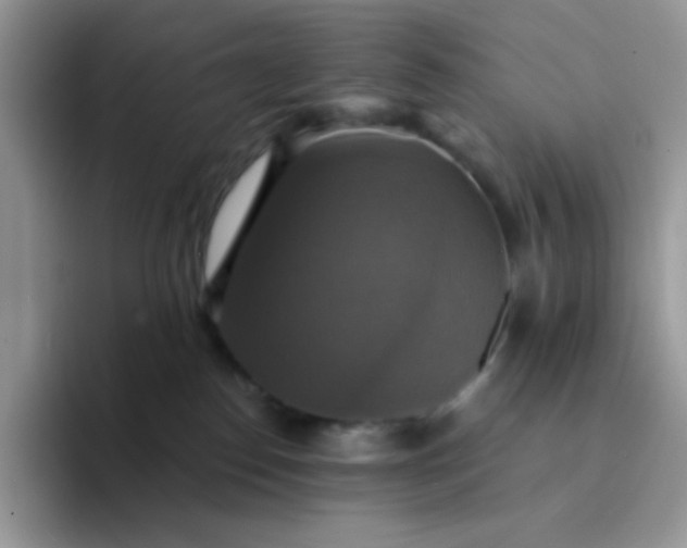X0000094210186200711091244