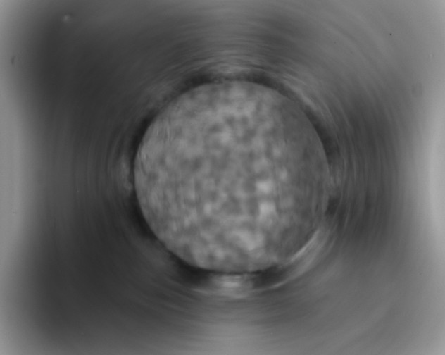 X0000094210187200711091244