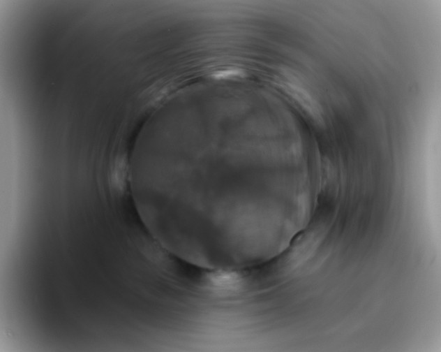 X0000094210189200711091244