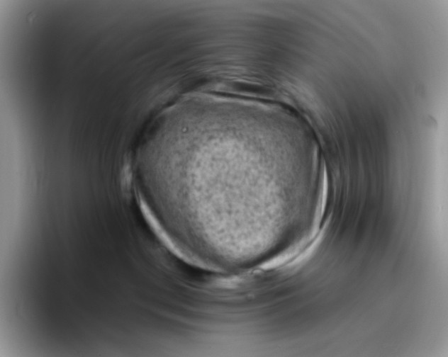 X0000094210190200711091244
