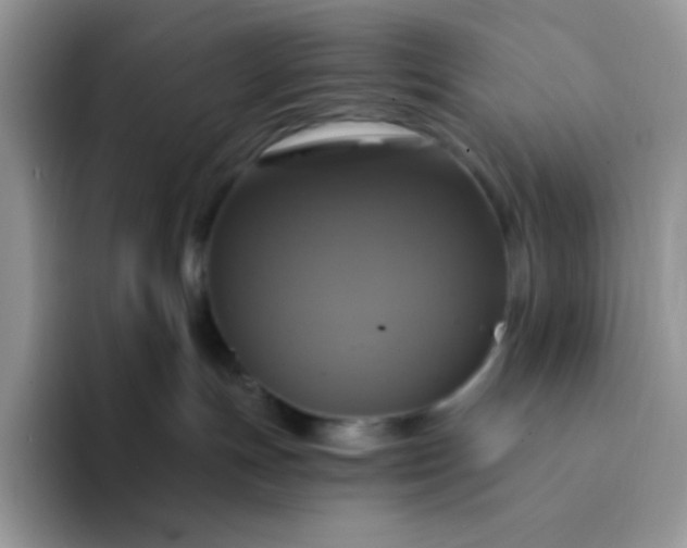 X0000094210191200711091244