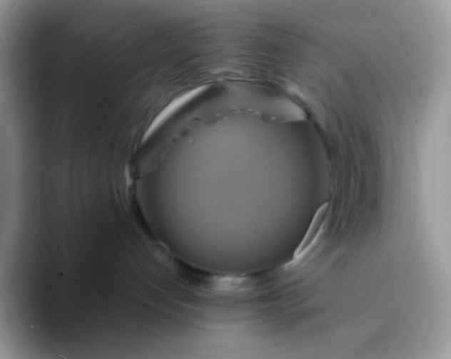 X0000094210192200711091244