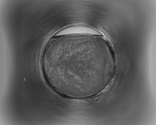 X0000094210193200711091244