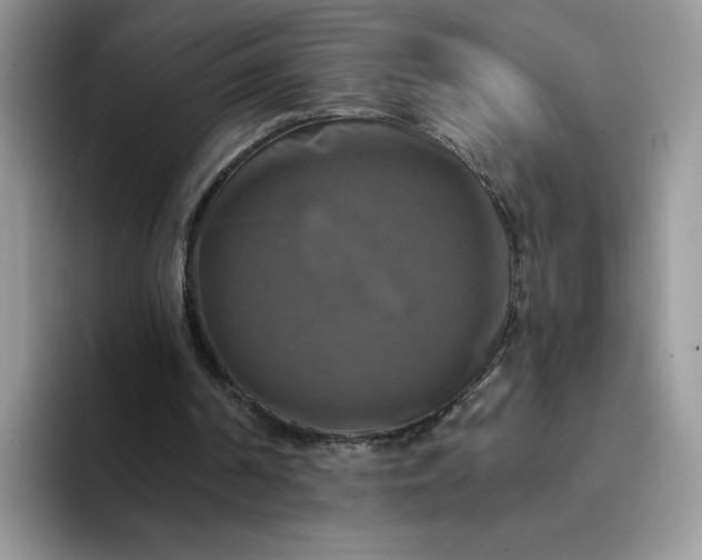 X0000094210194200711091244