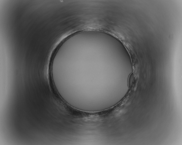 X0000094210196200711091244