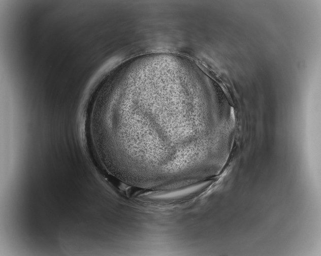 X0000094210197200711091244