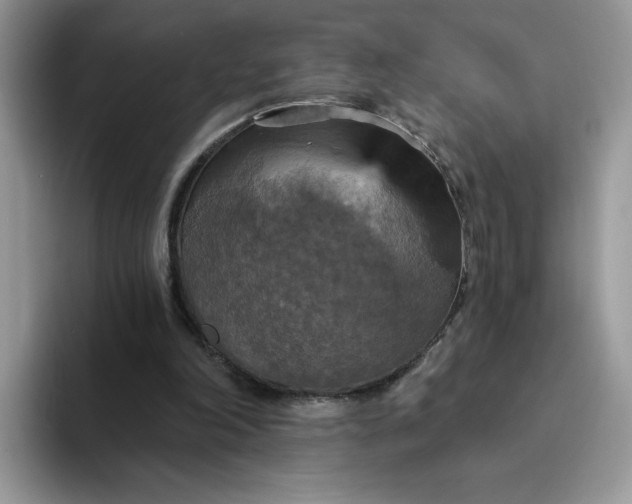 X0000094210198200711091244