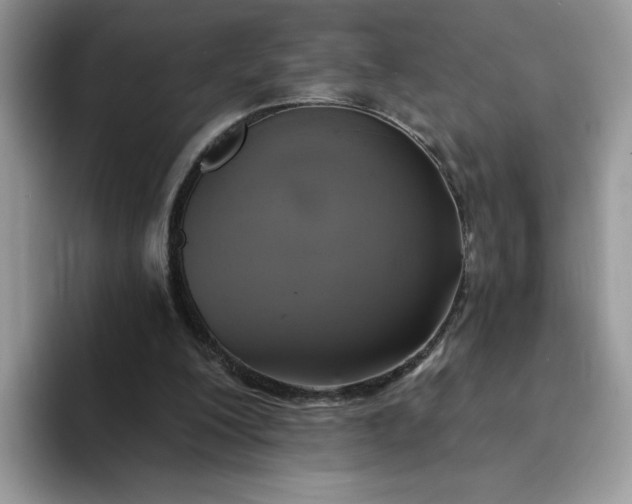 X0000094210200200711091244