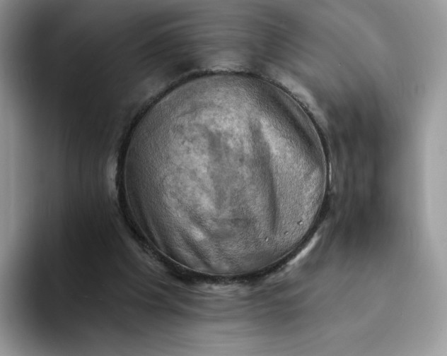 X0000094210201200711091244