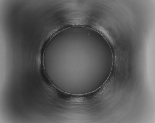 X0000094210202200711091244