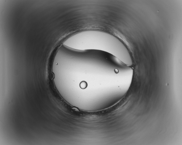 X0000094210203200711091244