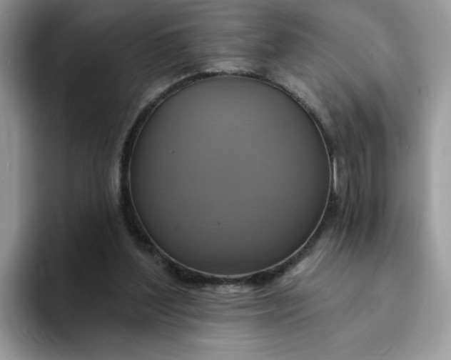 X0000094210204200711091244
