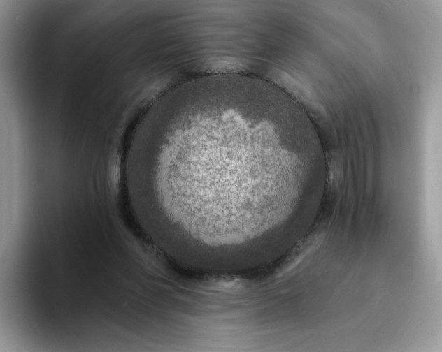 X0000094210206200711091244