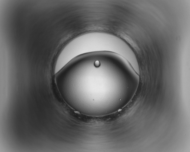 X0000094210207200711091244