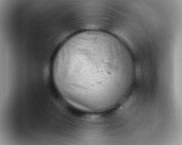 X0000094210208200711091244