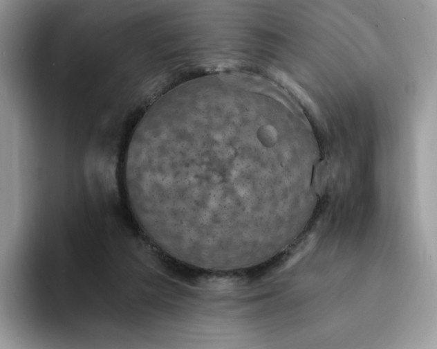 X0000094210209200711091244