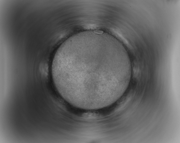 X0000094210211200711091244