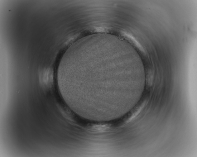 X0000094210213200711091244